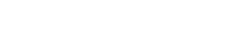 Serverbiz Logo weiss